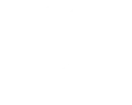 Life USA